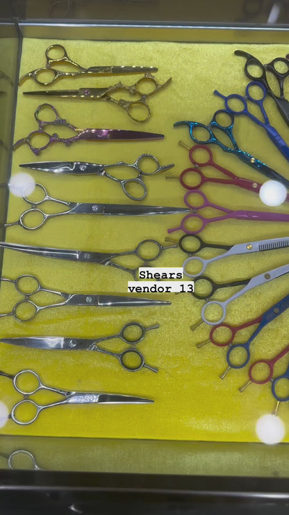 Vendor 13
